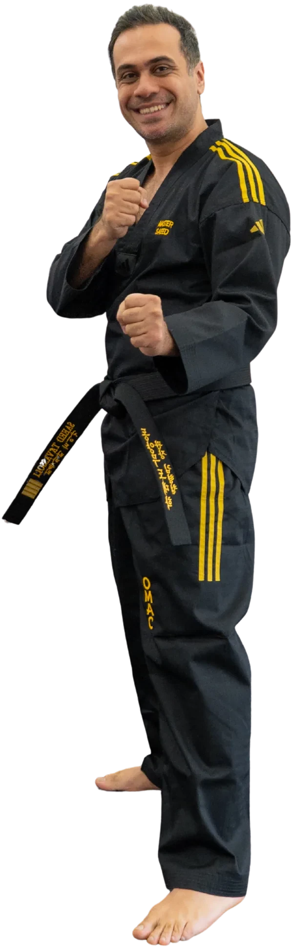 Adult Taekwondo (13+) class